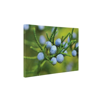 Boabe albastre - Tablou Canvas - 80x105 cm Boabe albastre - Tablou Canvas - 80x105 cm