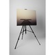 Dig - Tablou Canvas - 35x45 cm