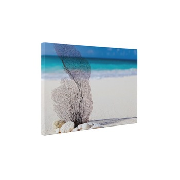 Plaja - Tablou Canvas - 75x100 cm Plaja - Tablou Canvas - 75x100 cm