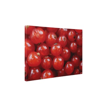 Coacaze - Tablou Canvas - 65x85 cm Coacaze - Tablou Canvas - 65x85 cm