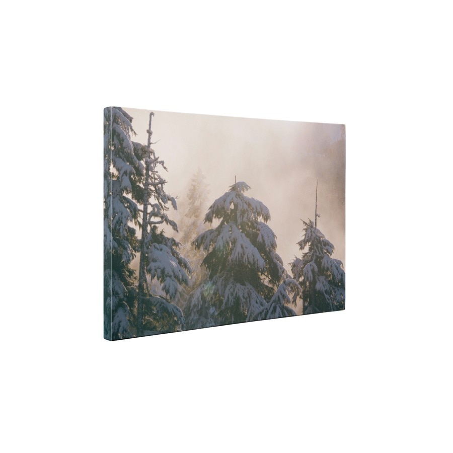 Zapada peste brazi - Tablou Canvas - 60x75 cm