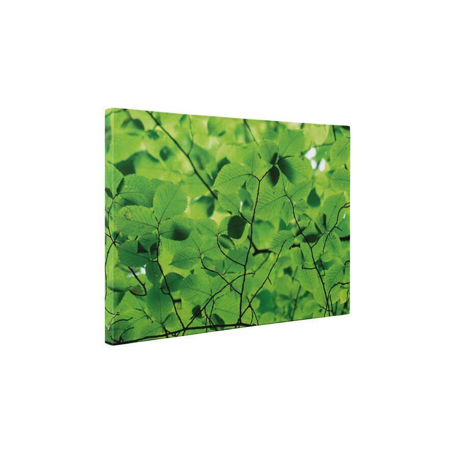 Frunze peste tot - Tablou Canvas - 30x40 cm