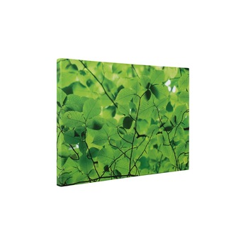 Frunze peste tot - Tablou Canvas - 95x125 cm Frunze peste tot - Tablou Canvas - 95x125 cm