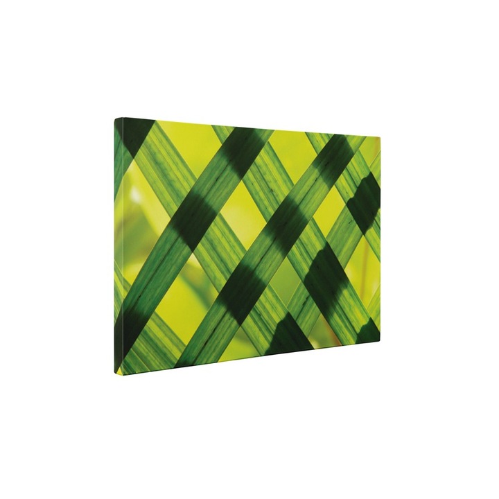 Frunze verzi - Tablou Canvas - 60x80 cm