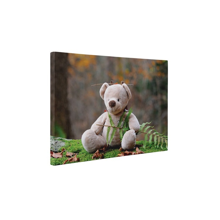 Teddy bear - Tablou Canvas - 15x20 cm
