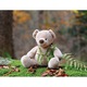 Teddy bear - Tablou Canvas - 15x20 cm