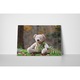 Teddy bear - Tablou Canvas - 15x20 cm