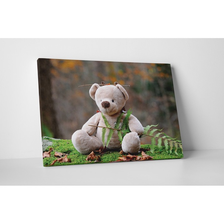 Teddy bear - Tablou Canvas - 15x20 cm