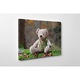 Teddy bear - Tablou Canvas - 15x20 cm