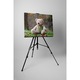 Teddy bear - Tablou Canvas - 15x20 cm
