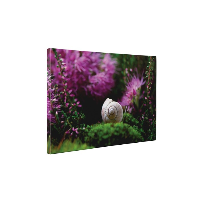Melc - Tablou Canvas - 85x110 cm