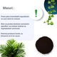 Fier pentru Plante Chelatat – Actiune rapida impotriva clorozei si ingalbenirii, ideal pentru legume, plante ornamentale si pomi fructiferi