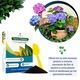 Fier pentru Plante Chelatat – Actiune rapida impotriva clorozei si ingalbenirii, ideal pentru legume, plante ornamentale si pomi fructiferi