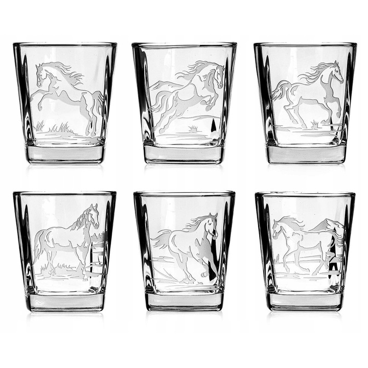 Комплект чаши за уиски 300мл, безцветни, с мотиви на ездачи, 6 броя