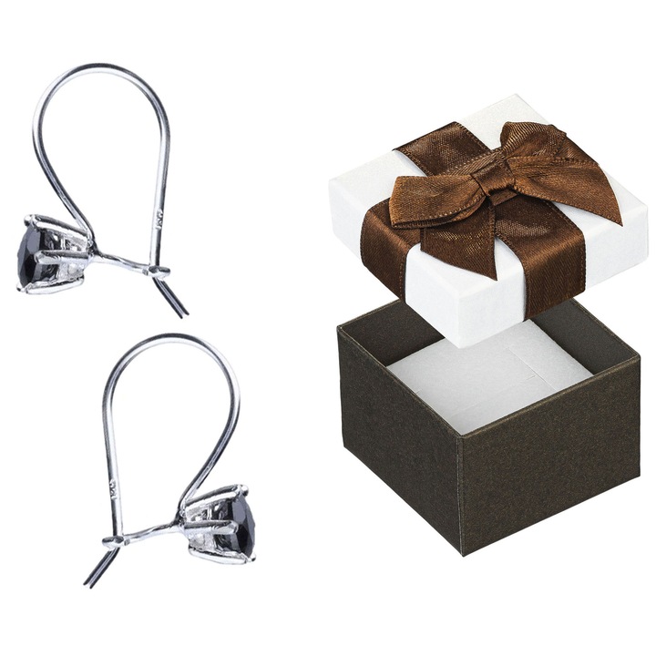 Cercei din argint Siju, cu zirconii negri, 5mm, set cu cutie de cadou