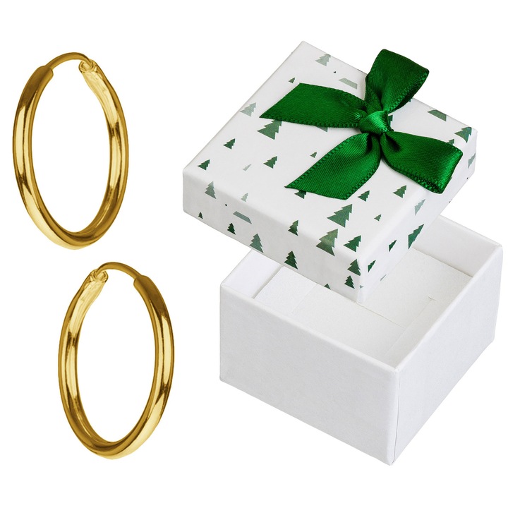 Cercei rotunzi Siju din argint 925 placat cu aur, 10mm, set cu ambalaj cadou