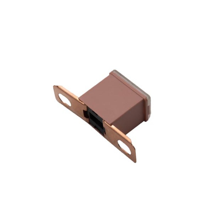 Siguranta fuzibila tip cartus, Tesla, 30A/32V, CARTRIDGE fuse FJ12