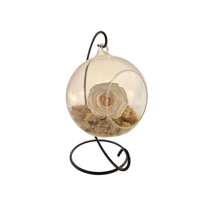 Glob din sticla suspendat cu trandafir criogenat Champagne si licheni Alb Natural, 20x12cm, FloraVelle