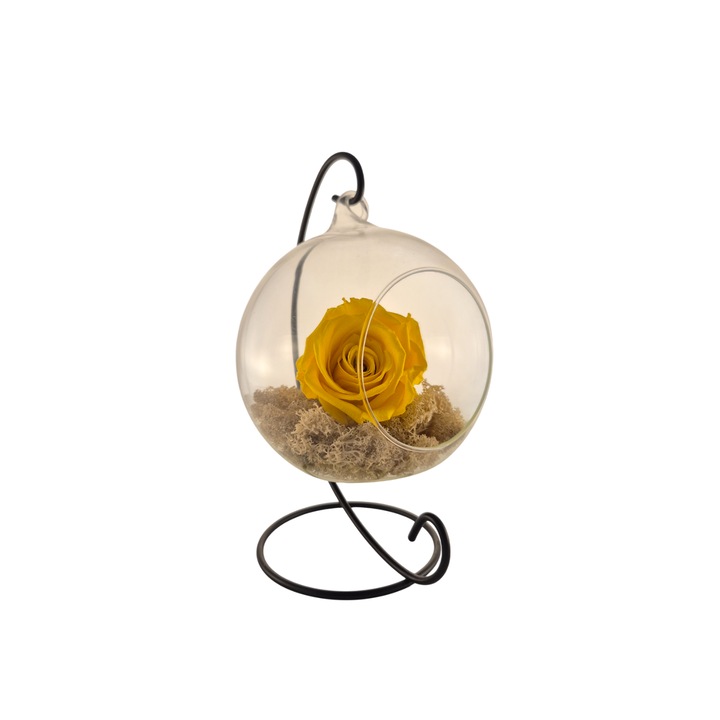 Glob din sticla suspendat cu trandafir criogenat Galben si licheni Alb Natural, 20x12cm, FloraVelle