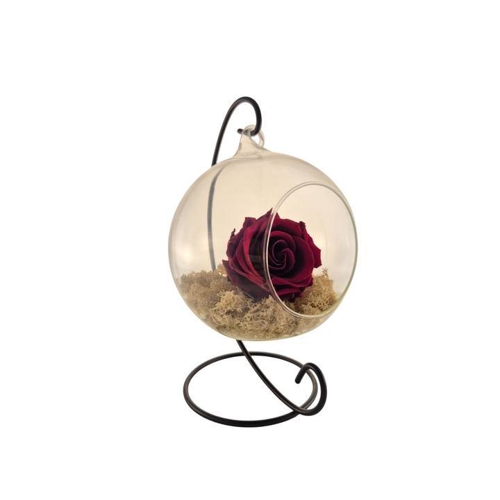 Glob din sticla suspendat cu trandafir criogenat Burgundy si licheni Alb Natural, 20x12cm, FloraVelle