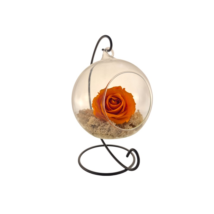 Glob din sticla suspendat cu trandafir criogenat Portocaliu si licheni Alb Natural, 20x12cm, FloraVelle