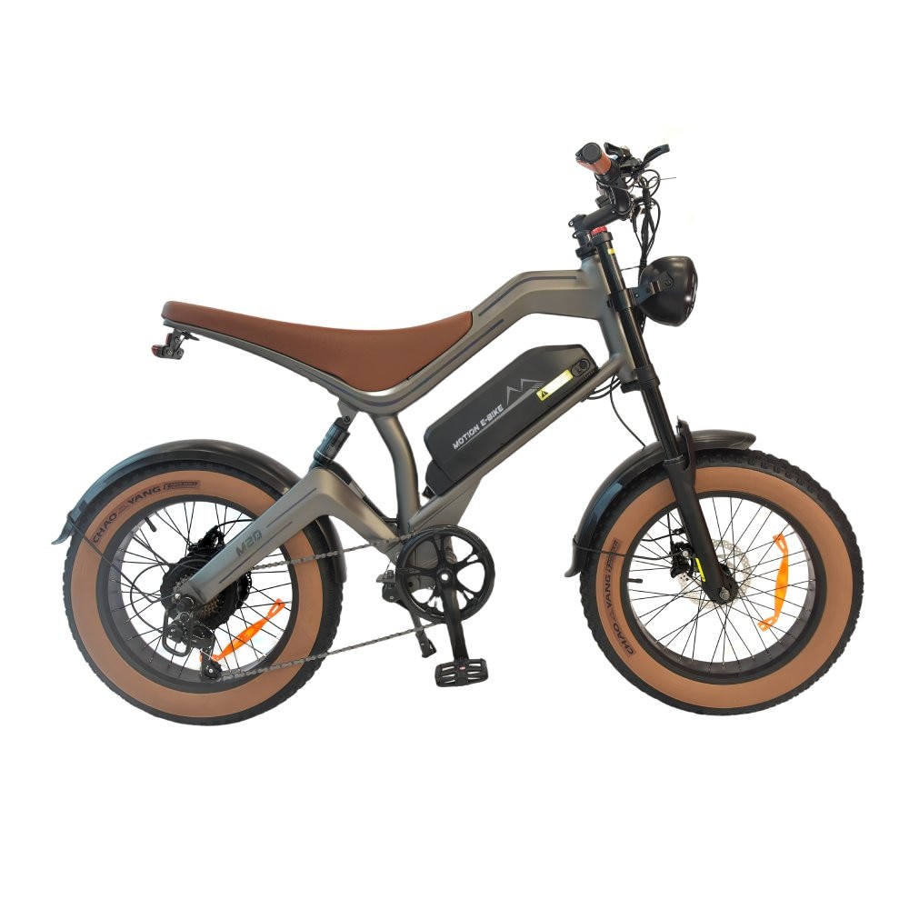 Bicicleta Electrica Pentru AdultI DYU M20, Motor De 1500W, Baterie De