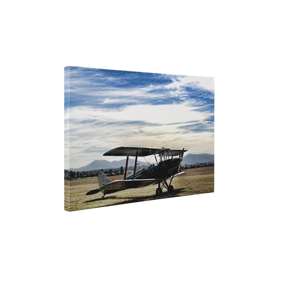 Avion vechi - Tablou Canvas - 60x75 cm