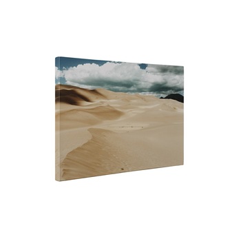 In desert - Tablou Canvas - 50x65 cm In desert - Tablou Canvas - 50x65 cm