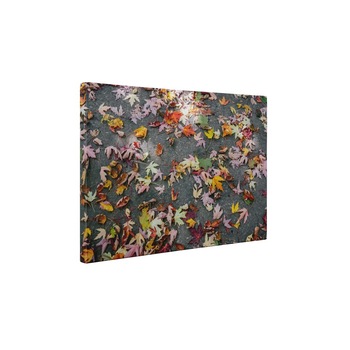 Frunze colorate de toamna - Tablou Canvas - 35x45 cm Frunze colorate de toamna - Tablou Canvas - 35x45 cm