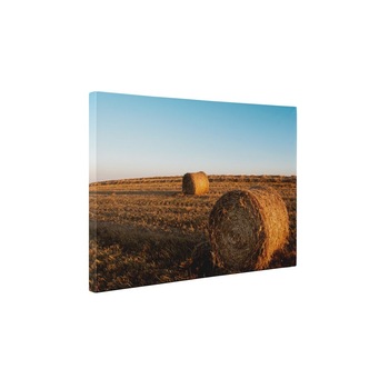 Un stog de fan - Tablou Canvas - 65x85 cm Un stog de fan - Tablou Canvas - 65x85 cm