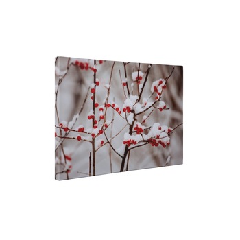 Boabe de macese - Tablou Canvas - 85x110 cm Boabe de macese - Tablou Canvas - 85x110 cm