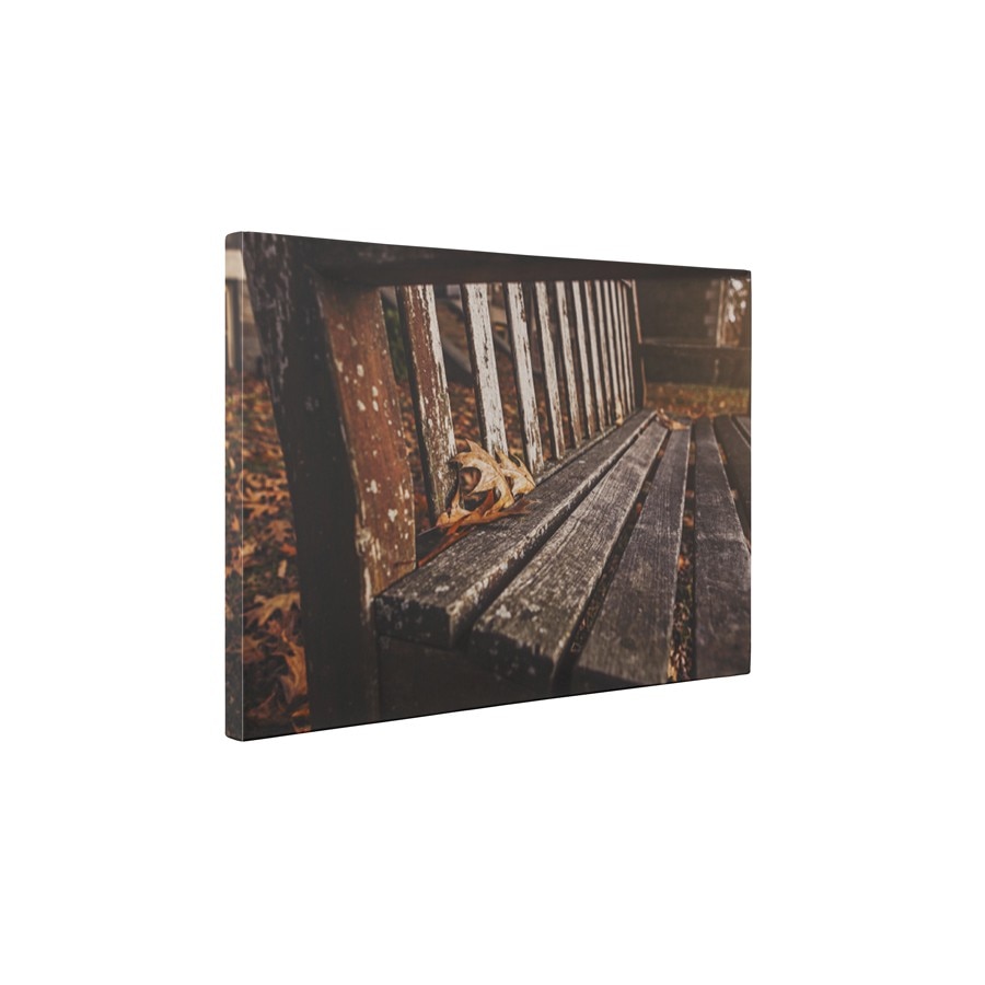 Toamna in parc - Tablou Canvas - 60x80 cm