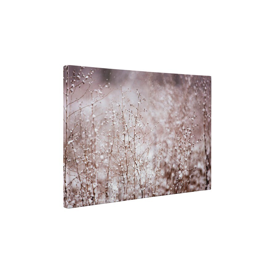 Peisaj de iarna - Tablou Canvas - 60x75 cm