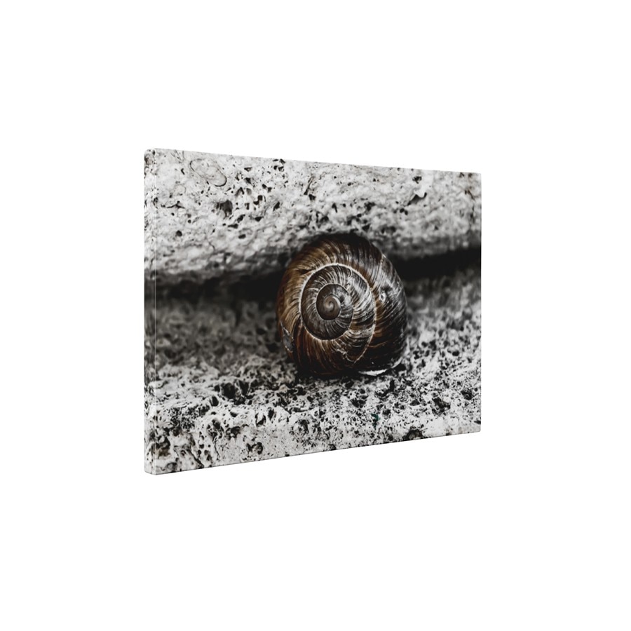 Melcusor - Tablou Canvas - 60x75 cm