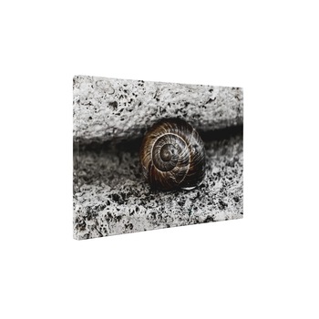 Melcusor - Tablou Canvas - 60x80 cm Melcusor - Tablou Canvas - 60x80 cm