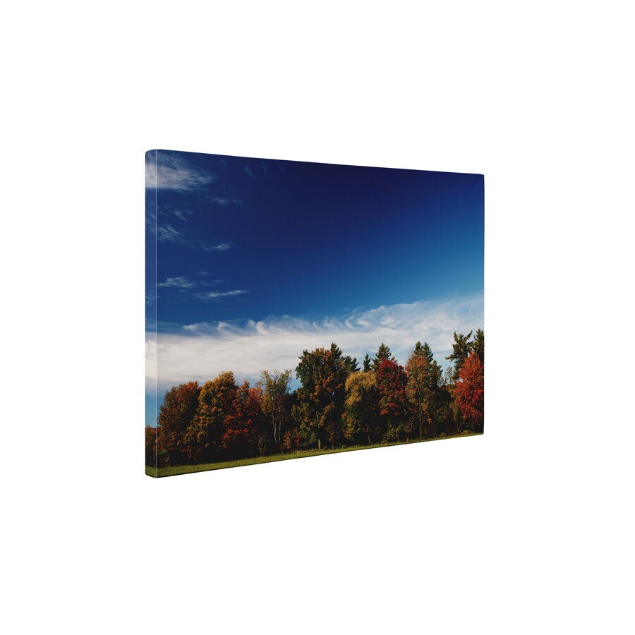 Padure - Tablou Canvas - 60x80 cm