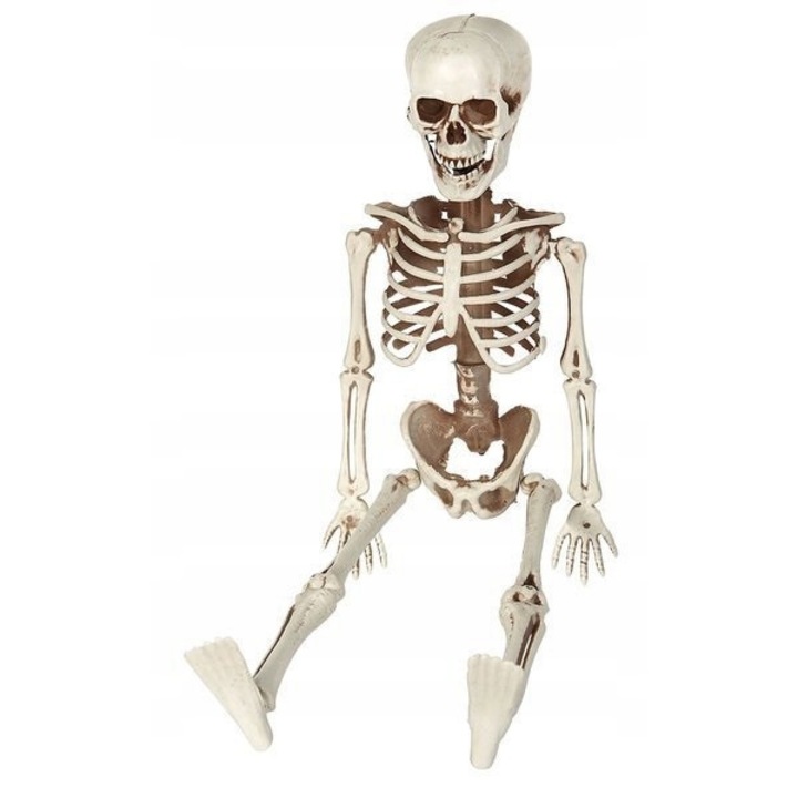 Schelet Decorativ Halloween 40 cm, Suspendat, Plastic