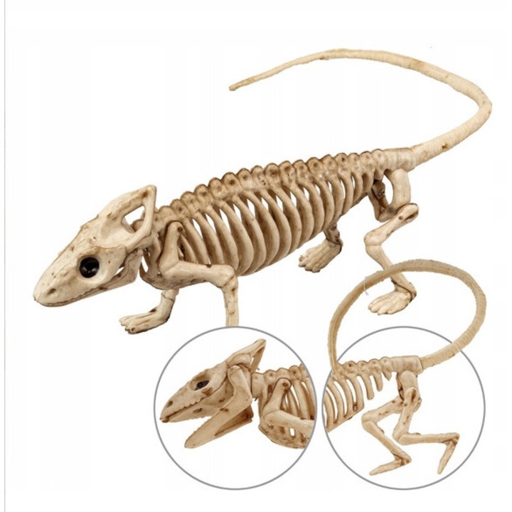 Schelet Iguana, Widmann, 43 cm, decoratiune Halloween, efect patinat