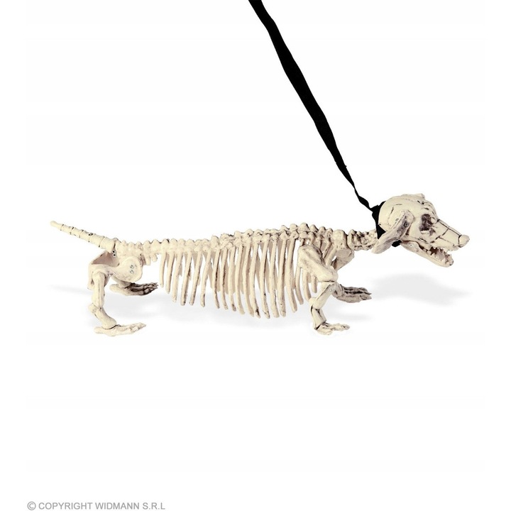 Decoratiune Halloween, Widmann, schelet caine Jamnik, umor negru, 20cm, cu lesa