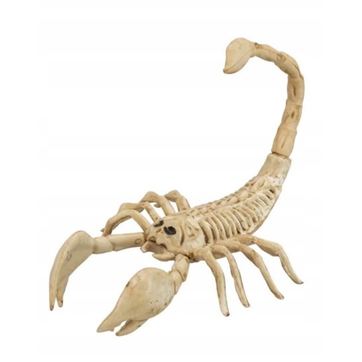Decoratiune schelet scorpion, Widmann, 30x13cm, negru, pentru petrecerea de Halloween
