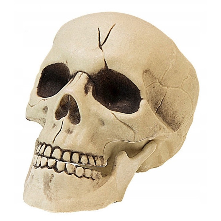 Craniu Halloween cu Maxilar Mobil, Widmann, 21 cm, bej