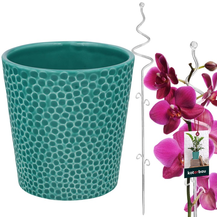 Керамична саксия тюркоаз 11 см с прозрачна стойка 58 см за цветя, комплект за орхидея