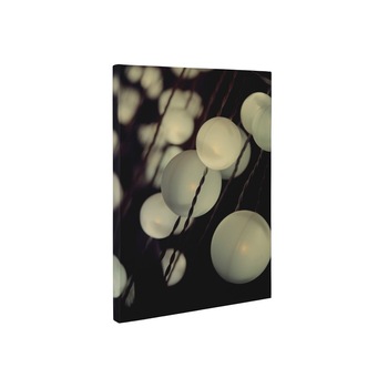 Globuri albe - Tablou Canvas - 65x85 cm Globuri albe - Tablou Canvas - 65x85 cm