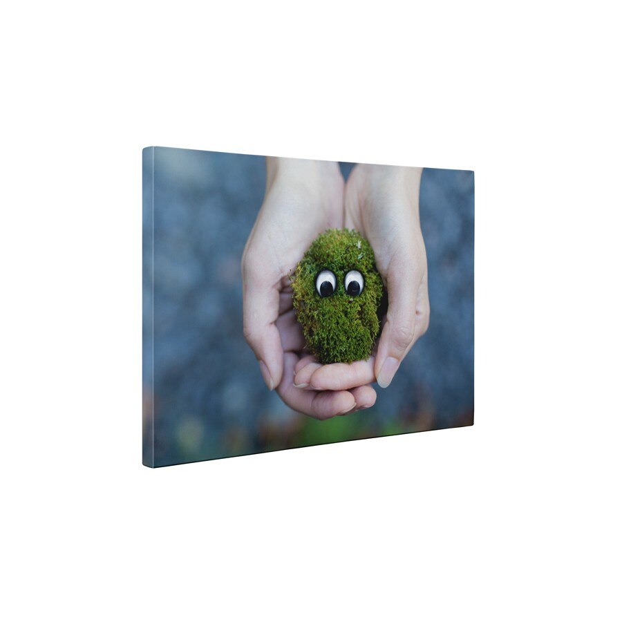 Monstrulet verde - Tablou Canvas - 60x75 cm