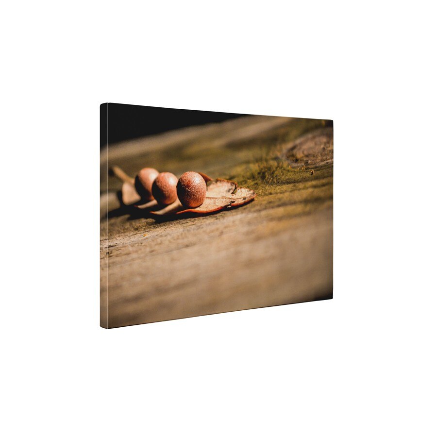 O frunza - Tablou Canvas - 80x105 cm