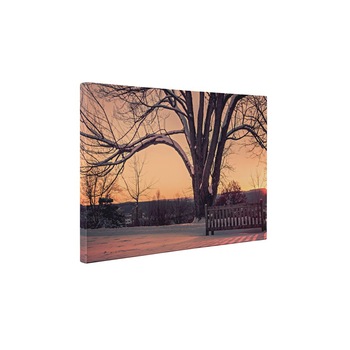 Apus de soare iarna - Tablou Canvas - 65x85 cm Apus de soare iarna - Tablou Canvas - 65x85 cm