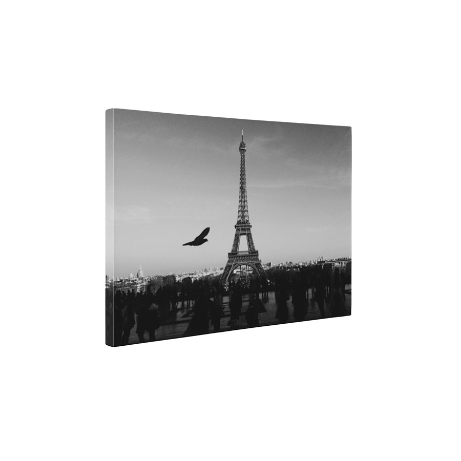 Turnul Eiffel in alb-negru - Tablou Canvas - 60x75 cm