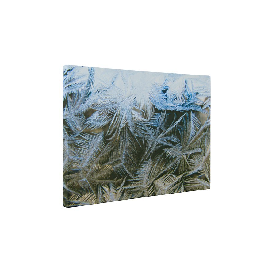 Flori de gheata - Tablou Canvas - 60x80 cm