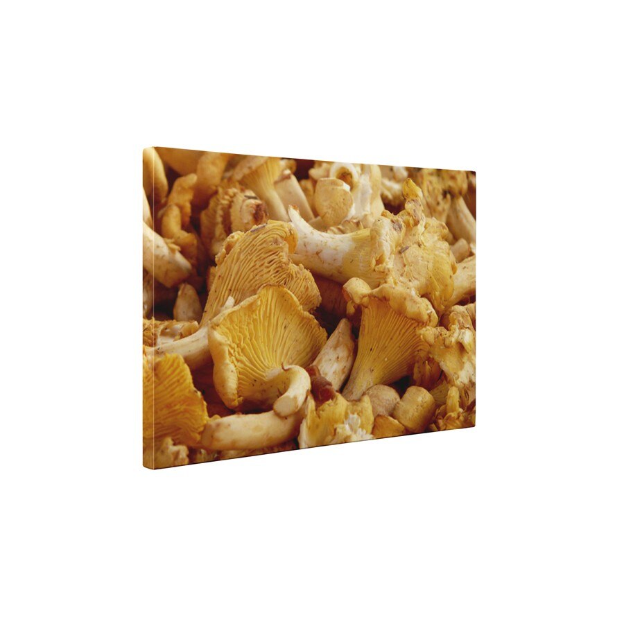 Ciuperci peste tot - Tablou Canvas - 60x75 cm