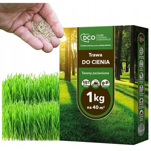 Set Seminte De Bambus Rezistent La Frig, Phyllostachys Pubescens, 100  Bucati, Rezistent La -15C, Vesnic Verde, Tulpini Drepte Si Netede, Sistem  De Rizomi Subterani - eMAG.ro